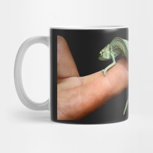 up yours chameleon Mug